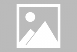 一条狗漫画,欢乐逗趣日常瞬间