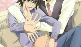 漫画耽美,描绘爱情的独特画卷